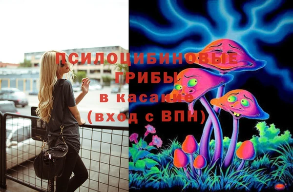 соль курить ск Вязьма